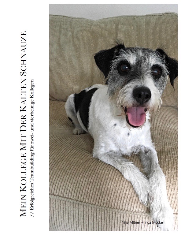 Neue Alltagshelden | Ein eBook über „Kollege Hund“